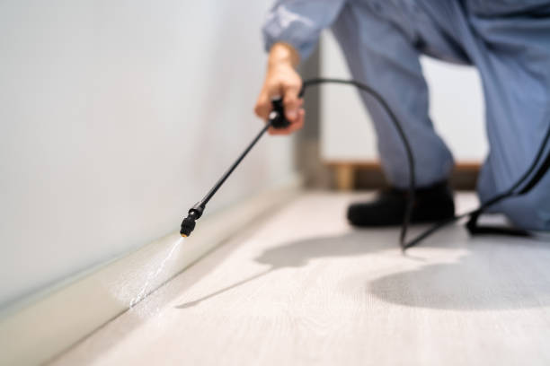 Licensed Pest Control service in West Frankfort, IL - Show Me Pest Control