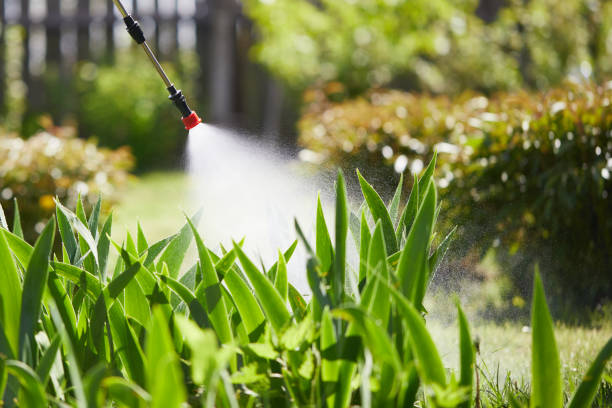 24/7 Emergency Wasp Removal experts in West Frankfort, IL