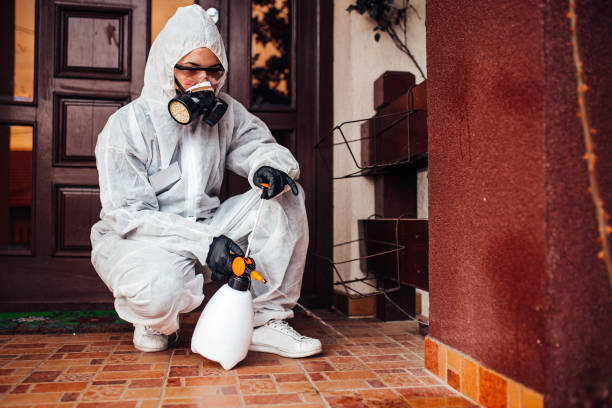 Reliable Wasp Removal contractor in West Frankfort, IL by Show Me Pest Control